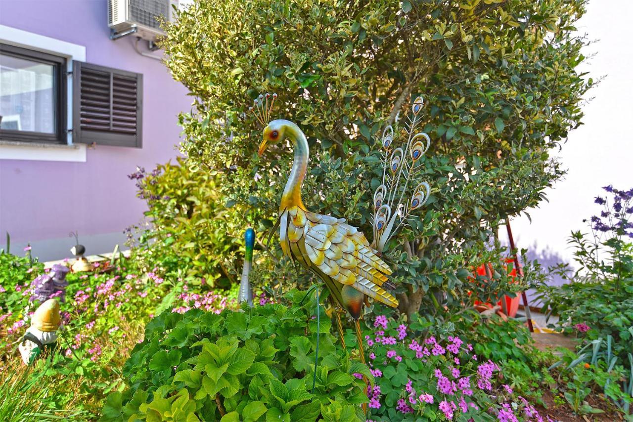Apartments Anka 1223 بيروغ المظهر الخارجي الصورة
